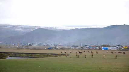 Ardahan’ın yükseklerinde kar yağışı