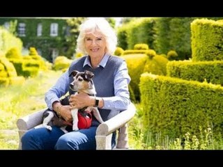 Camilla chiama il suo "rifugio" segreto e "l'unico posto dove può rilassarsi completamente"