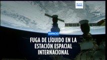 La agencia espacial rusa informa de una fuga de líquido en la Estación Espacial Internacional