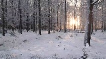 Winter Wonderland Relaxation: 5-Minute Snow Scenes Compilation with Soothing Ambient Music