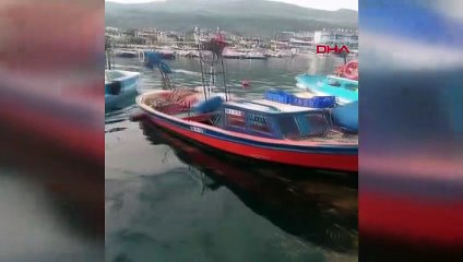 Gemlik'te 4 Metrelik Köpek Balığı Balıkçıları Zorladı