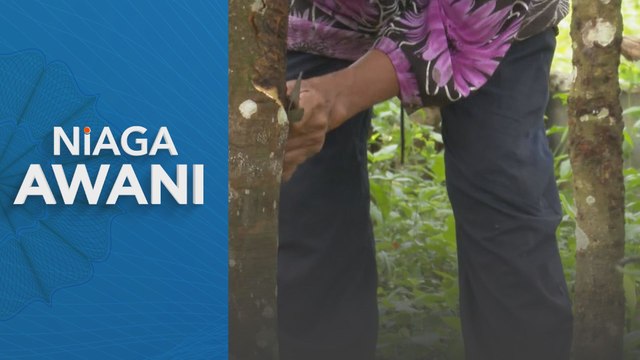 Niaga AWANI: RISDA peruntuk RM186 juta bantu pekebun kecil tahun ini