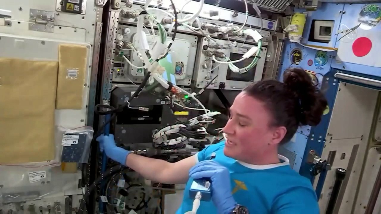 AT_V_1696933326957