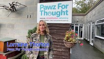 How Pawz For Thought uses donated money to support animals in the charity's care