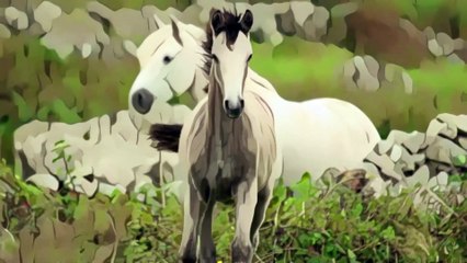 1 HOUR of Cute Horses