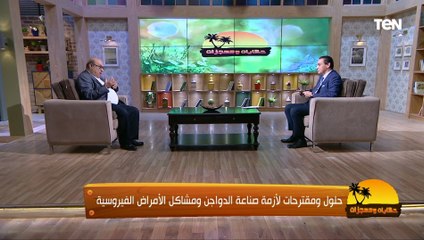 الزيادة أرض خصبة للفيروسات.. أمراض مدمرة لقطاع صناعة الدواجن