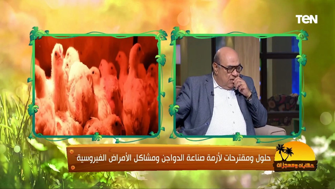 د. مصطفى بسطاوي: الشعب المصري عنيد وتمكن من العودة للإكتفاء الذاتي من الدواجن خلال 3 سنين