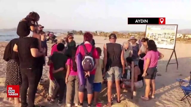 Kuşadası ve Didim’de caretta caretta yavruları denizle buluştu