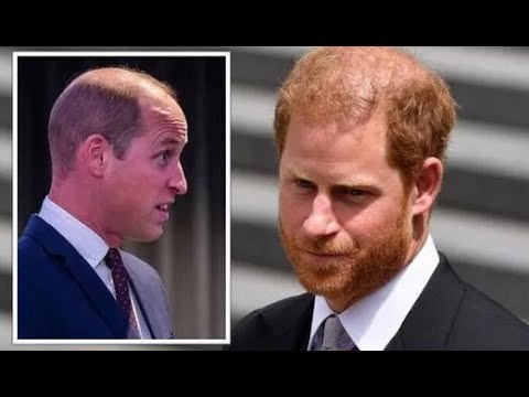 Il principe William stupito del colpo del principe Harry sulla relazione dei fratelli reali