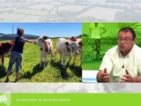 Place aux paysans : Transmission du savoir-faire agricole - Place aux paysans - TL7, Télévision loire 7