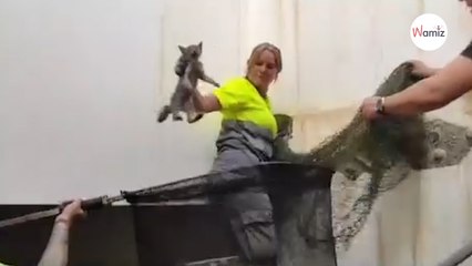 Este es el increíble rescate de Tuba, la pequeña que llevaba varios días atrapada en una tubería de Almería