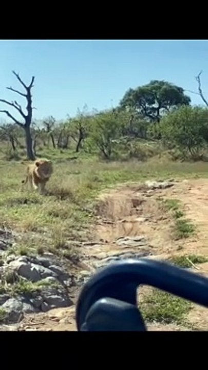 Nkhulu stalking sister pt2