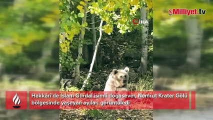 Yüksekovalı doğasever Nemrut’un ayılarını görüntüledi