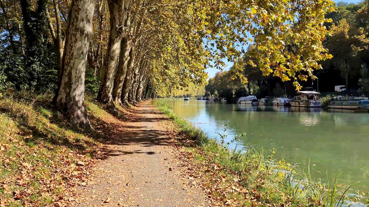 Google Pixel 8 Pro : video 4K à 60 FPS