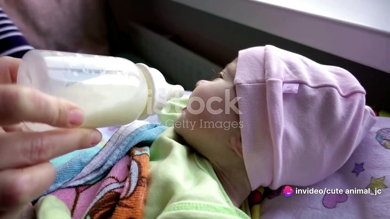 Bottle-Feeding Baby Animals: The Ultimate Feeding Frenzy