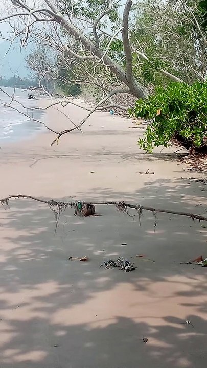 Pantai yang indah