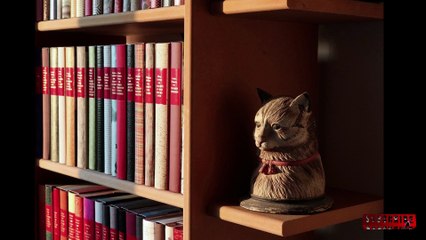 #How to train Your Cat l Cat Training Tips#