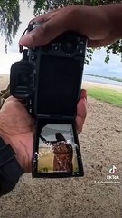 Tamarin ile maurice photo de rue