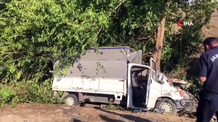 Une camionnette est entrée dans une palissade à Adana et a heurté un arbre : 3 morts