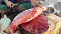 Look! Giant Pangas Carp Fish Cleaning & Chopping By Expert Fish Cutter _ Fis