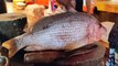 Big Red Snapper Fish Cutting By Expert Fish Cutter _ Amazing Fish Cutting