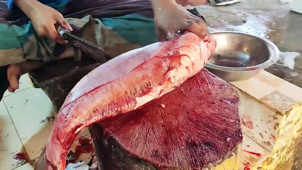 Look! Giant Pangas Carp Fish Cleaning & Chopping By Expert Fish Cutter