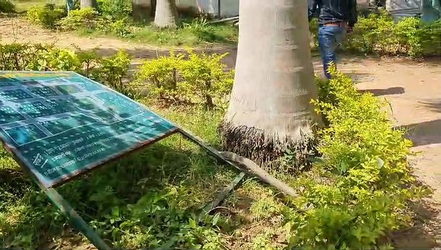 11 हाथियों के दल ने शासकीय उद्यान में जमकर मचाया उत्पात