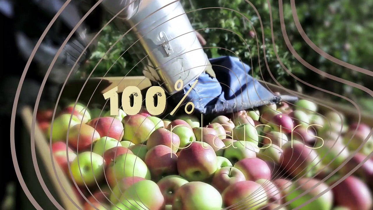 Médaille d'or pour le yaourt au lait de brebis de la Ferme du Colombier
