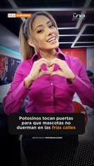 Campaña canina por las altas temperaturas en el país