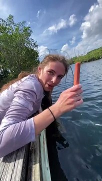 Pecher à la saucisse : efficace