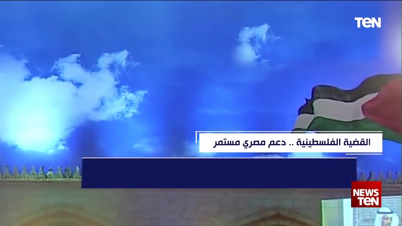 القضية الفلسطينية.. دعم مصري مستمر