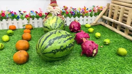 Two Monkeys Pretend Play with Ducklings -Learning Animals - Story for Babies