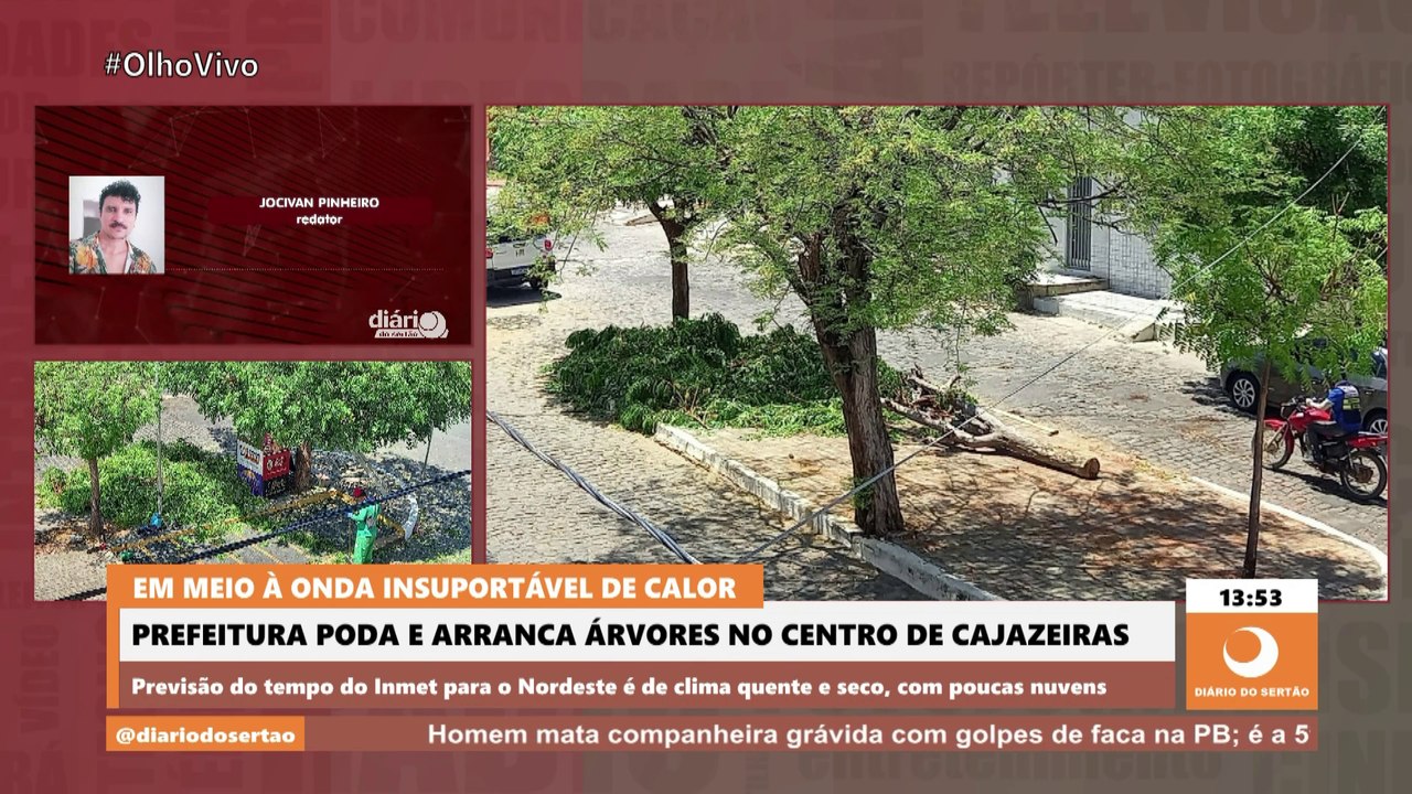 Em meio à onda insuportável de calor, prefeitura poda e arranca árvores no centro de Cajazeiras