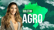 Excesso de chuva mantém solo encharcado para cultivos no Sul do BR