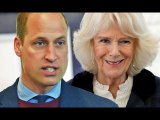 'Not easy on him!' Prince William 'supportive' of Queen Camilla despite 'huge family rows'