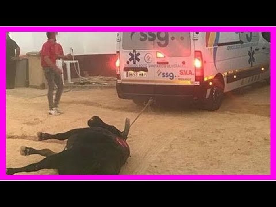 Escándalo en el ruedo: la ambulancia que entró para arrastrar al toro muerto en Valdepeñas