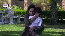 Meray Paas Tum Ho Episode 13 _ Ayeza Khan _ Humayun Saeed _ Adnan Siddiqui _ Hira Salman