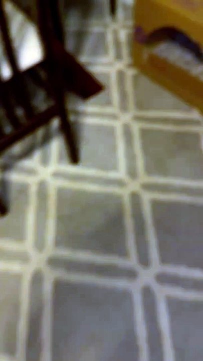 Tas de chatons nouveau-nés endormis