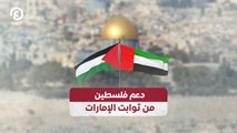 دعم فلسطين من ثوابت الإمارات
