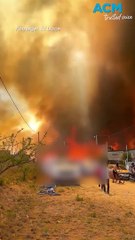 'Towering wall of black smoke' wildfires engulf Argentina