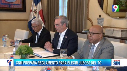 Preparados para sustitución de magistrados del TC| Emisión Estelar SIN