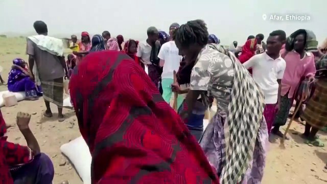 WFP resumes Ethiopia food aid for refugees