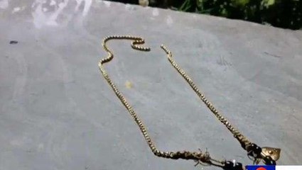 విజయనగరం జిల్లా: రెచ్చిపోతున్న చైన్ స్నాచర్లు