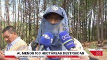 Tragedia ambiental por invasión en Cauca