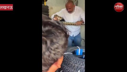 Video: लखनऊ के अलग अलग इलाकों में निकल रहे सांप