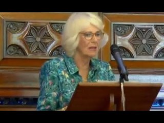 Se posso chiamarti così?" Camilla mostra un umorismo brillante con un tocco alla cultura del PC