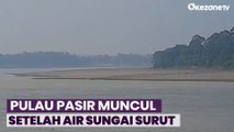 Air Sungai Batanghari Surut Akibat Kemarau, Pulau Pasir Jadi Objek Wisata Dadakan
