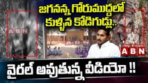 జగనన్న గోరుముద్దలో కుళ్ళిన కోడిగుడ్లు.. వైరల్ అవుతున్న వీడియో !! || Rotten eggs in gorumudda || ABN