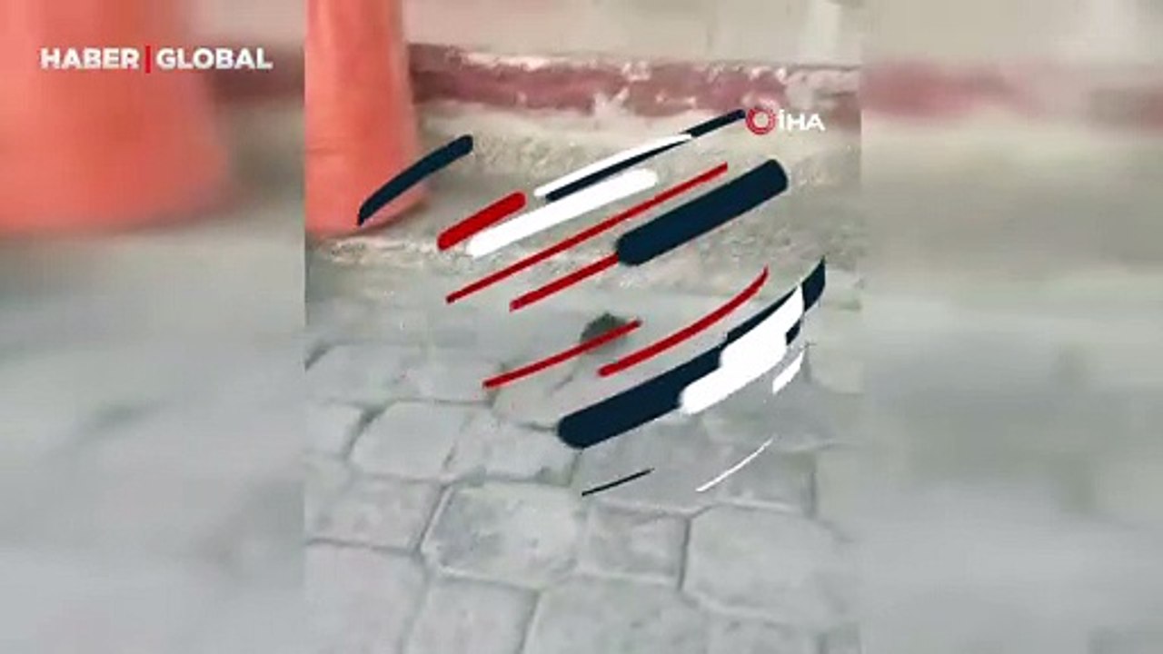 Elazığ'da kediye yem olmak istemeyen fare, ölü taklidi yaparak kurtuldu