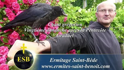Graduel Oculi omnium mea du 20e dimanche après la Pentecôte - Ermitage Saint-Bède - Jean-Claude Guerguy pour Ciné Art Loisir.Loisir
